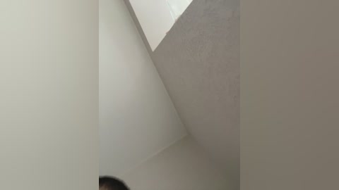 dream022 free recording from 2024-11-04 07:26:00