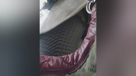 editamilf free recording from 2024-11-04 03:58:00