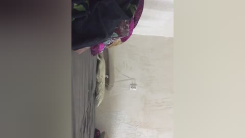 fukisukipuk7 free recording from 2026-04-23 03:10:00