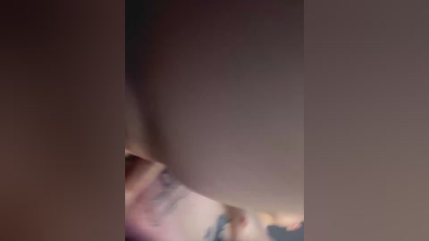 kasy_cat free recording from 2024-11-04 09:06:00