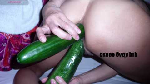 katniss_k free recording from 2024-11-04 11:00:00