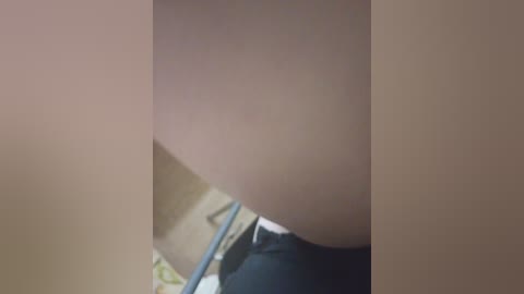 pechalka free recording from 2024-11-04 11:21:00