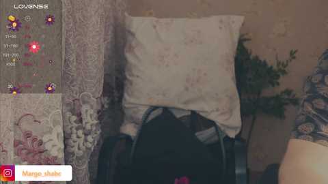 sexlove12001 free recording from 2024-11-04 00:16:00