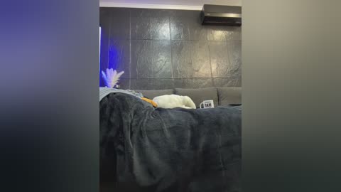 vero19nika free recording from 2024-11-04 08:15:00