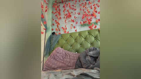 anitashine free recording from 2024-11-05 08:33:00