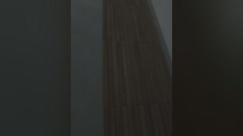 gerda_and_kai free recording from 2024-11-05 00:41:00