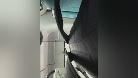 kisa_gav free recording from 2024-11-05 12:13:00