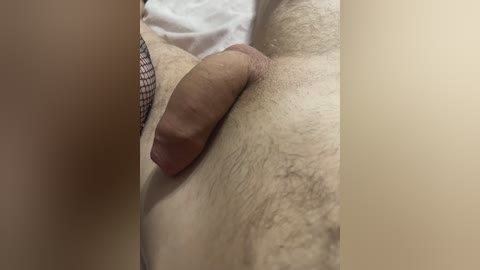 ksyevg free recording from 2024-11-05 16:12:00