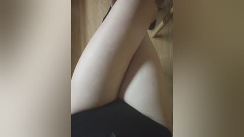 pechalka free recording from 2024-11-05 13:48:00