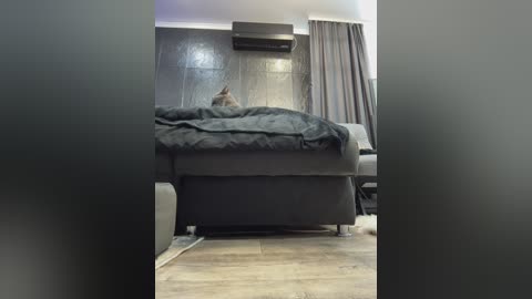 vero19nika free recording from 2024-11-05 08:16:00