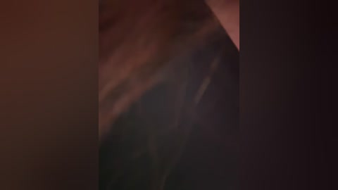 _indica_ free recording from 2026-04-14 02:42:00