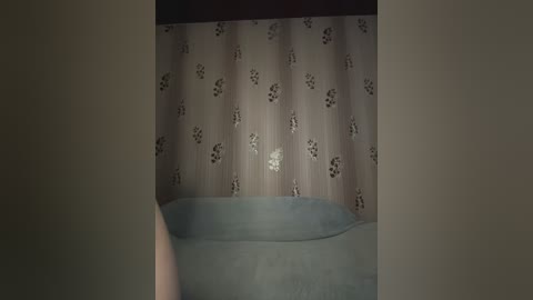 _molly_mae_ free recording from 2024-11-06 14:19:00