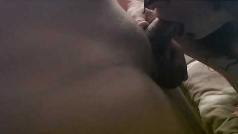 agoodday free recording from 2024-11-06 00:32:00