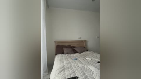 angelika5656 free recording from 2024-11-06 05:04:00