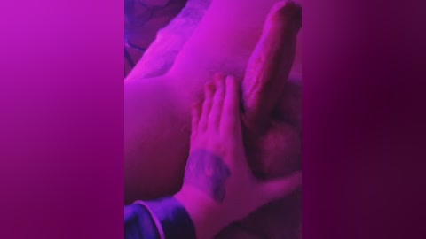 consciencea free recording from 2024-11-06 15:26:00