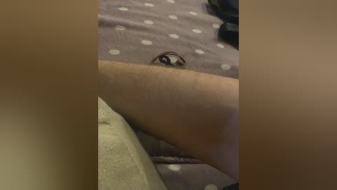 ernieflossy free recording from 2024-11-06 15:27:00