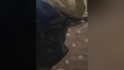 ernieflossy free recording from 2024-11-06 16:06:00