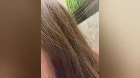 homely free recording from 2026-04-17 00:45:00