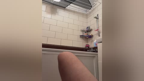 luckyguyhawk01 free recording from 2024-11-06 07:02:00