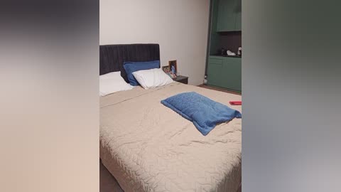 seksiirena free recording from 2024-11-06 17:18:00