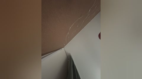 vagnermur free recording from 2024-11-06 22:03:00