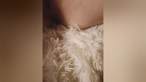 kinshakov80a free recording from 2024-11-07 19:12:00