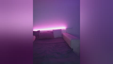 plohishi2 free recording from 2024-11-07 19:34:00