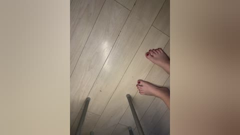 pricessss1 free recording from 2024-11-07 00:14:00