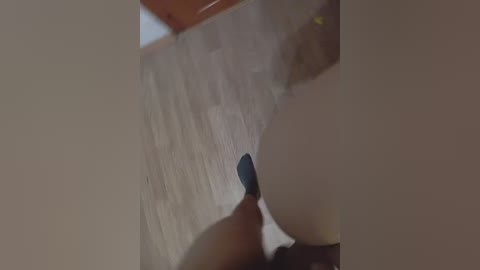 ekaterina2019 free recording from 2024-11-08 11:17:00