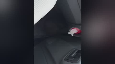 katerin_a free recording from 2024-11-08 08:07:00