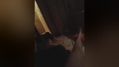 meowcandy free recording from 2024-11-08 18:28:00