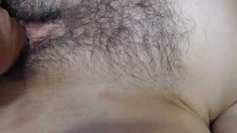 tvoyaigrushka free recording from 2024-11-08 13:51:00