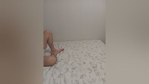 _ameli__ free recording from 2024-11-09 18:16:00