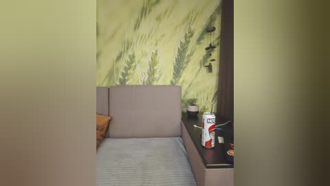 dianaahtender free recording from 2024-11-09 14:52:00