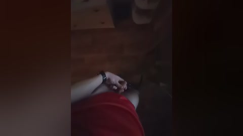 intimens free recording from 2026-04-17 06:23:00