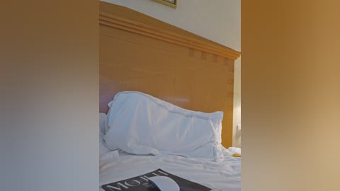 mr_and_mrs_smith_xxl free recording from 2024-11-09 12:25:00