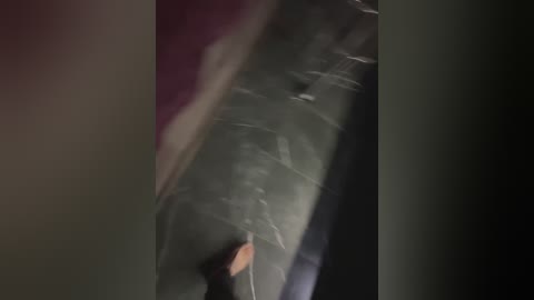 stepanmogucha free recording from 2024-11-09 03:26:00