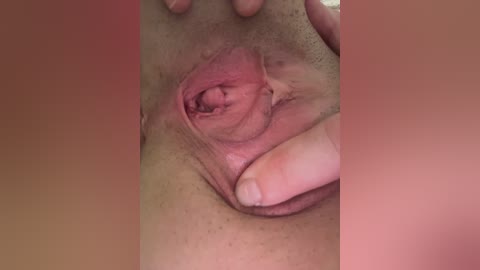 tinacat free recording from 2024-11-09 08:51:00