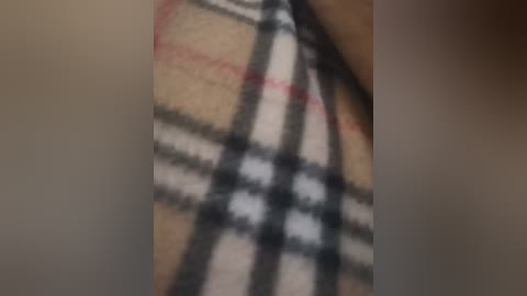 twobitrim free recording from 2024-11-09 19:00:00