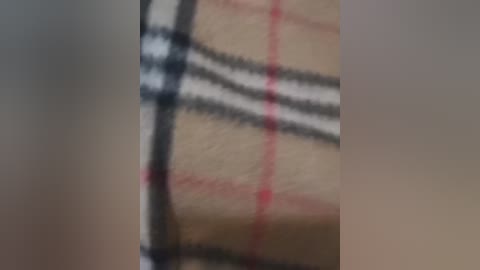 twobitrim free recording from 2024-11-09 21:43:00