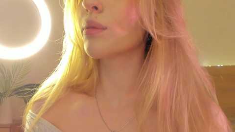 your_alice free recording from 2024-11-09 22:23:00