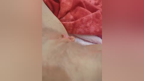 yrai_ja free recording from 2024-11-09 09:47:00