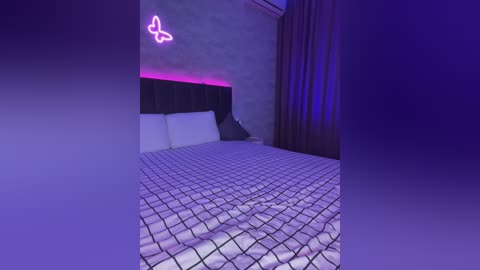 butttfly free recording from 2024-11-10 18:41:00