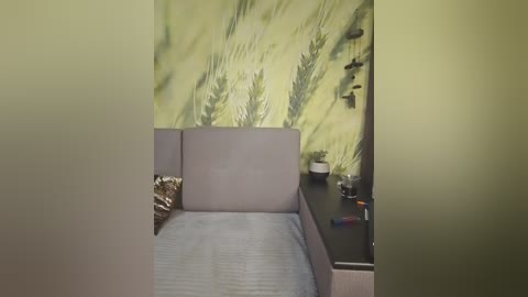 dianaahtender free recording from 2024-11-10 01:32:00