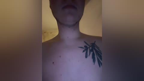 family_1m free recording from 2026-04-14 02:42:00