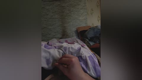 mulen_rug free recording from 2024-11-10 10:27:00