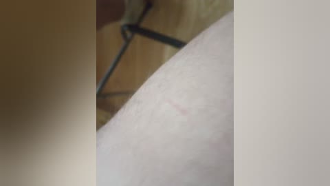 pechalka free recording from 2024-11-10 05:44:00