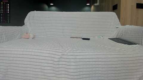 squikt free recording from 2024-11-10 07:44:00