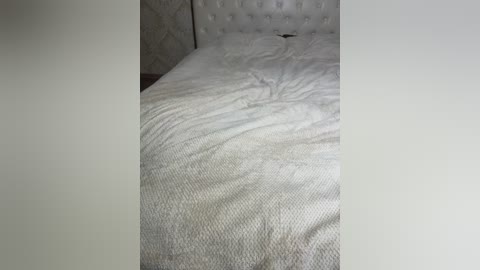 vanxom free recording from 2026-04-18 00:44:00