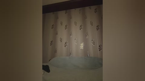 _molly_mae_ free recording from 2024-11-11 21:49:00